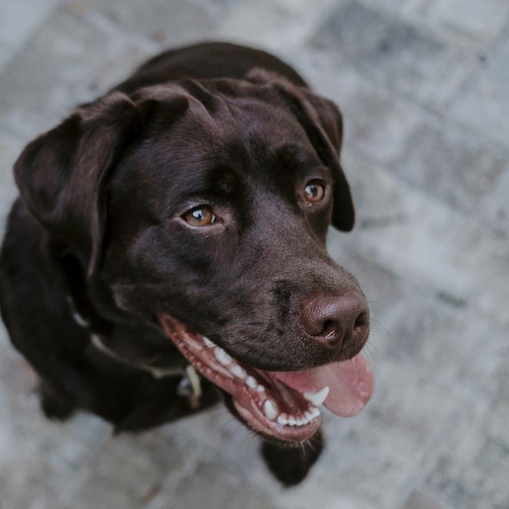 Business professional backdrop